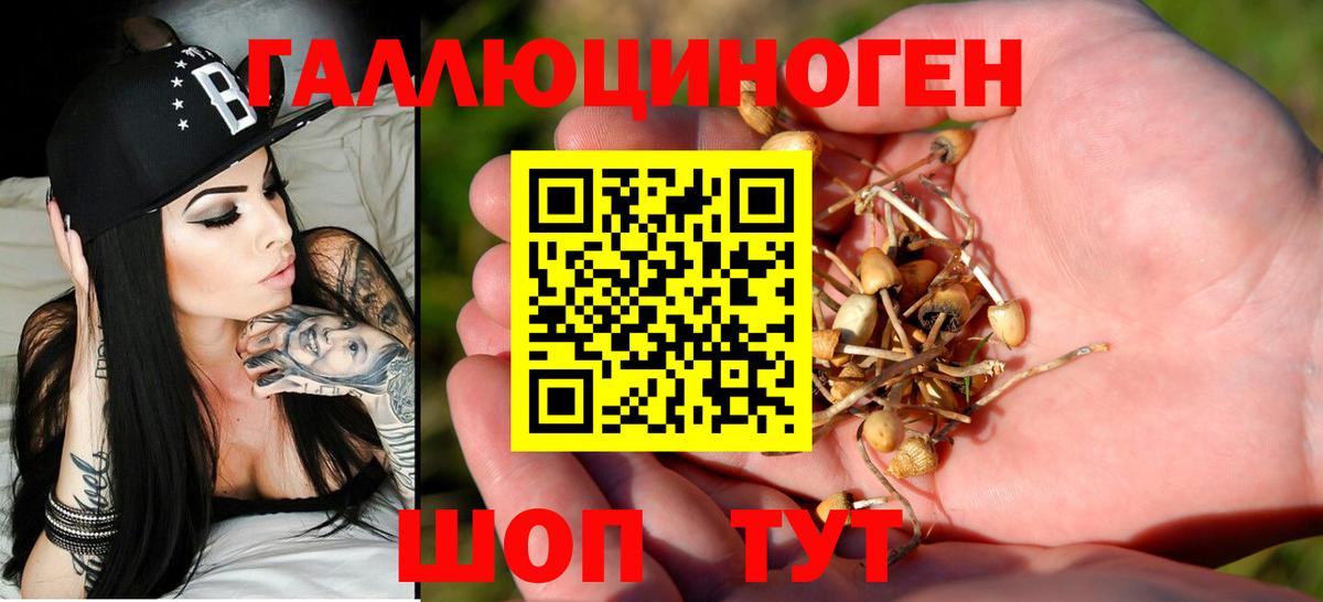 Галлюциногенные грибы MAGIC MUSHROOMS  Вход с VPN  Кызыл  Галлюциногенные грибы MAGIC MUSHROOMS 