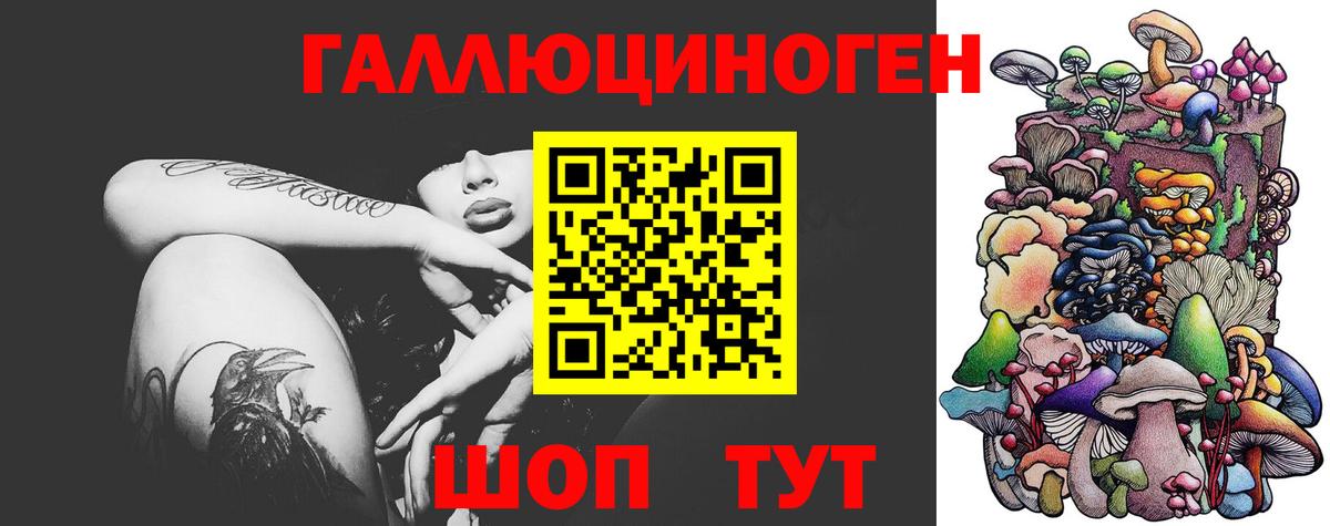 Галлюциногенные грибы прущие грибы Кызыл
